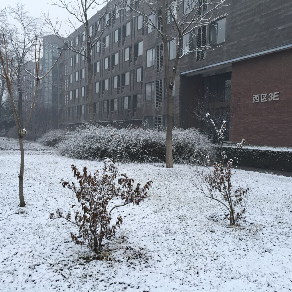 2015 - Dreams in the Dormitory Building</trp-post-container